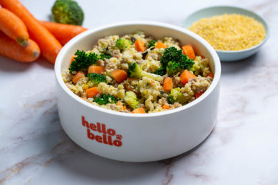 Das richtige Futter für deinen Hund – Hundefutter-Leitfaden