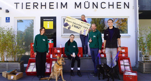 HelloBello Hilft: Mit Frischfutter und Herz – Unser Einsatz für den Tierschutz  (im Oktober 2024)