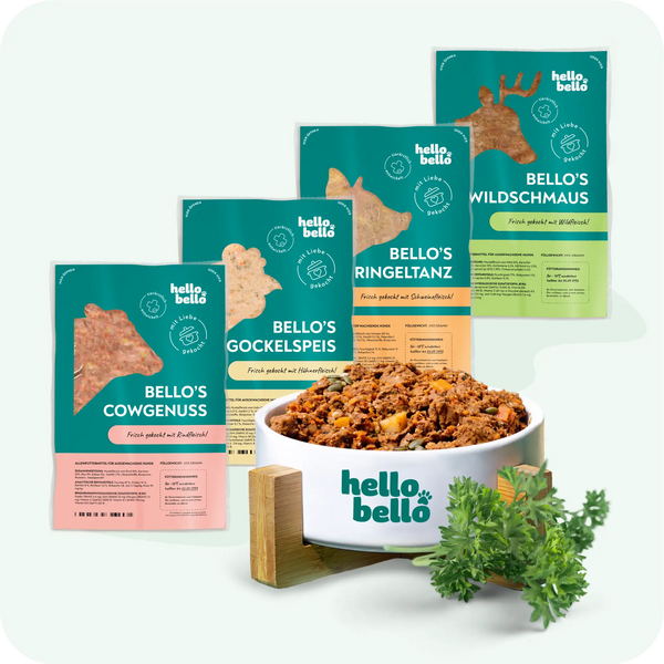 Nourriture fraîche pour un besoin énergétique de 1024 kcal/jour