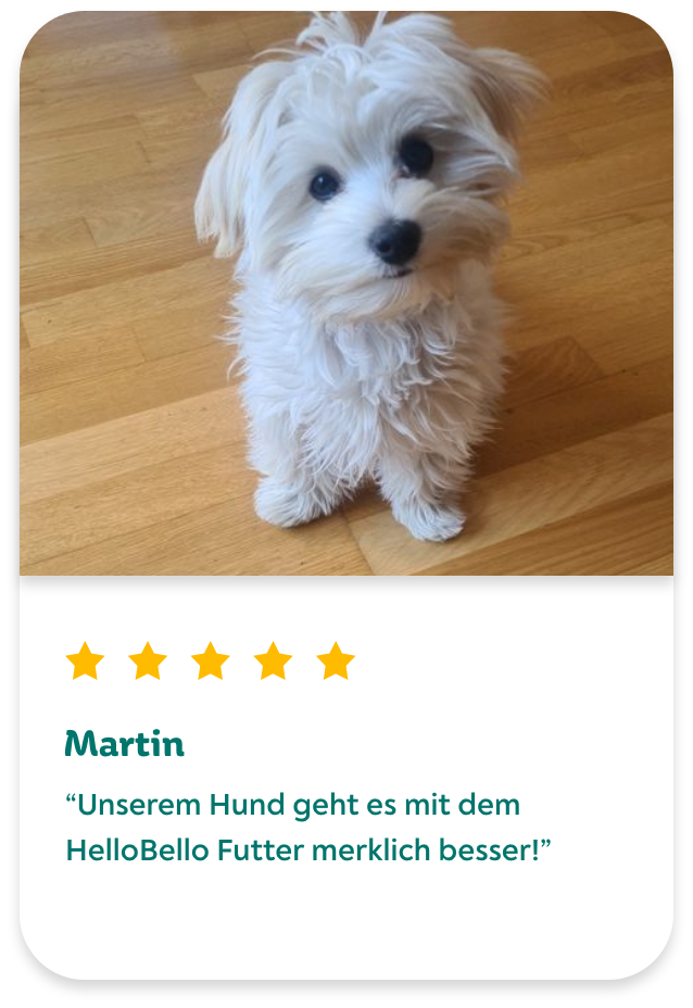Hundefutter Rezept review Martin