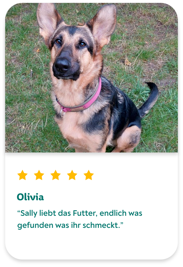 Hundefutter Rezept review Olivia