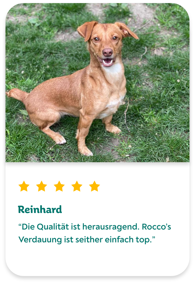 Hundefutter Rezept review Reinhard