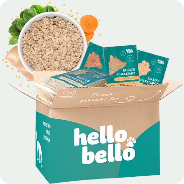 Frischfutter für Energiebedarf von 1026 kCal/Tag