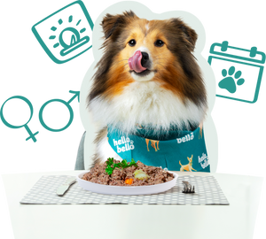 <strong>Erzähle uns von deinem Hund</strong>