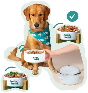 <strong>Wähle deine Sorten.</strong><br>Du wählst, wir kochen!